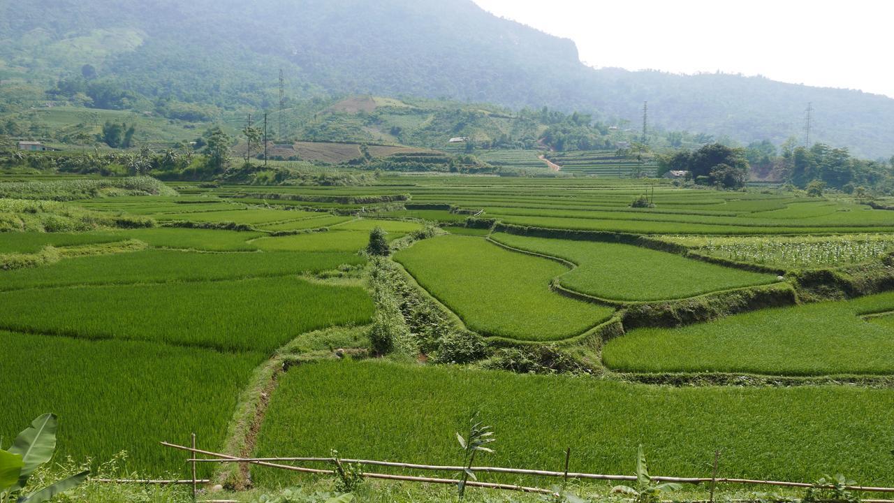 Thac Ba Family Homestay Ho To Экстерьер фото