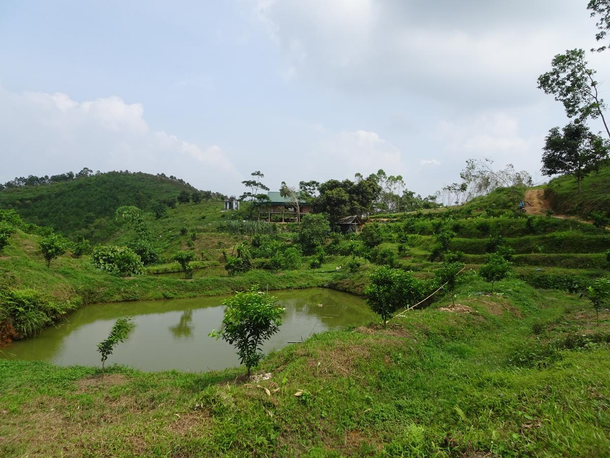 Thac Ba Family Homestay Ho To Экстерьер фото