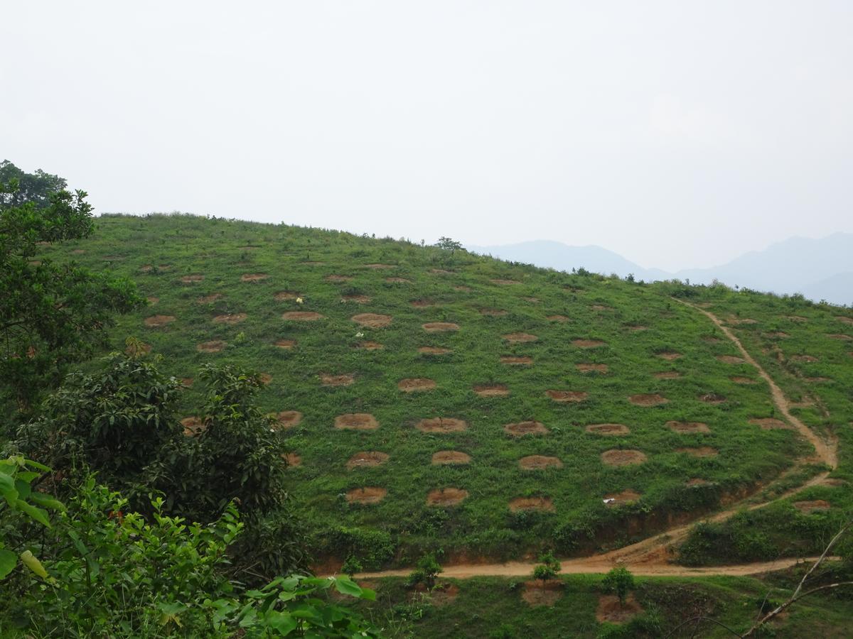 Thac Ba Family Homestay Ho To Экстерьер фото